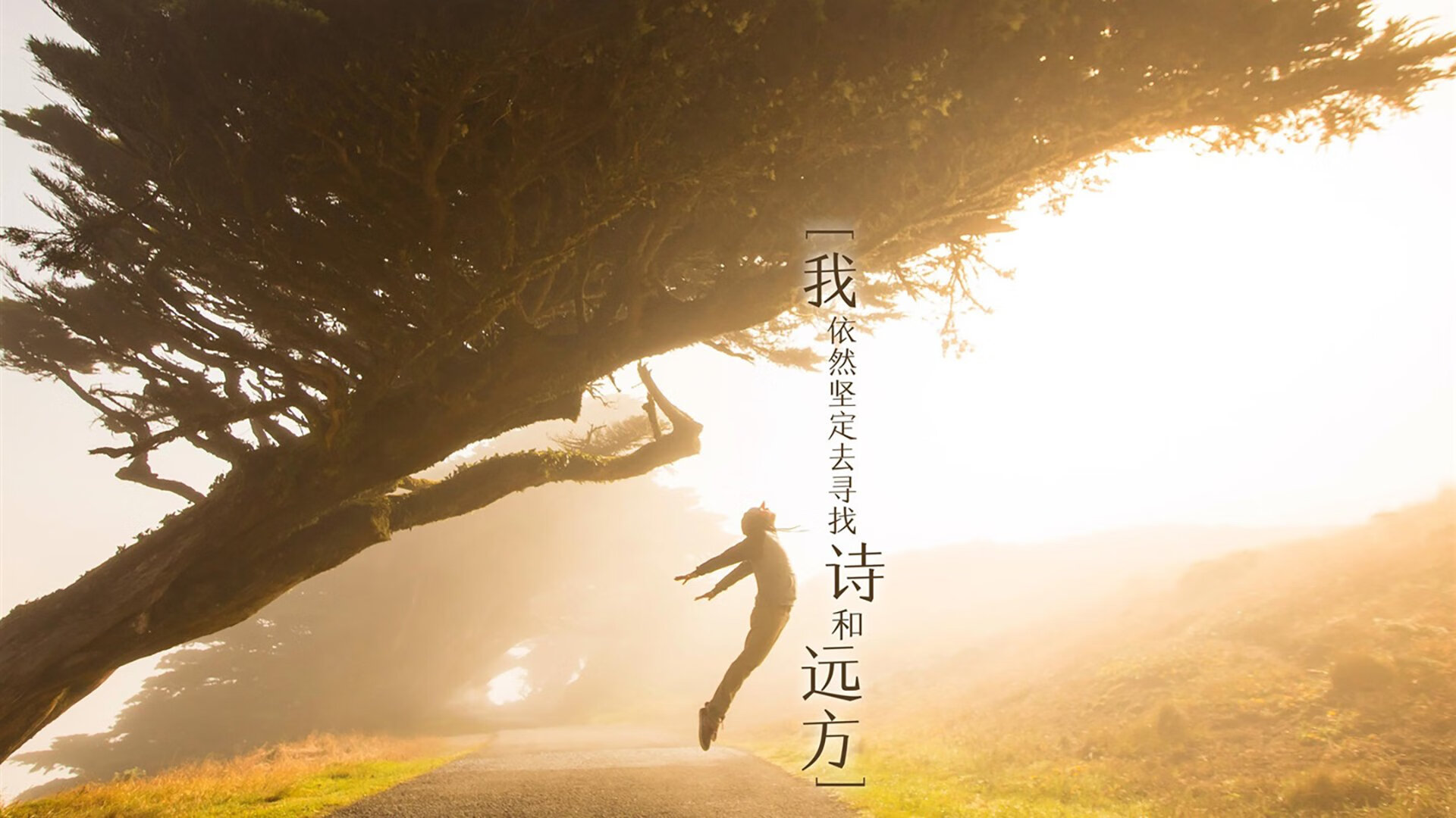 范弗利特后撤步三分投丢胜负手,年轻活塞用韧性击溃猛龙