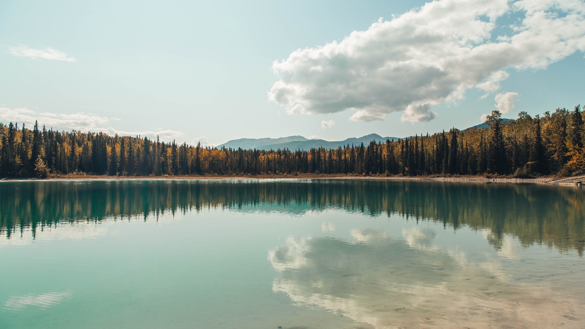 神祇的战场,当杜兰特踏上欧冠之夜