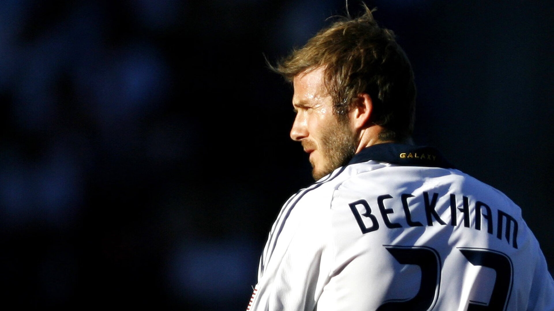 公牛战术体系全面压制猛龙，福克斯存在感拉满主导胜利