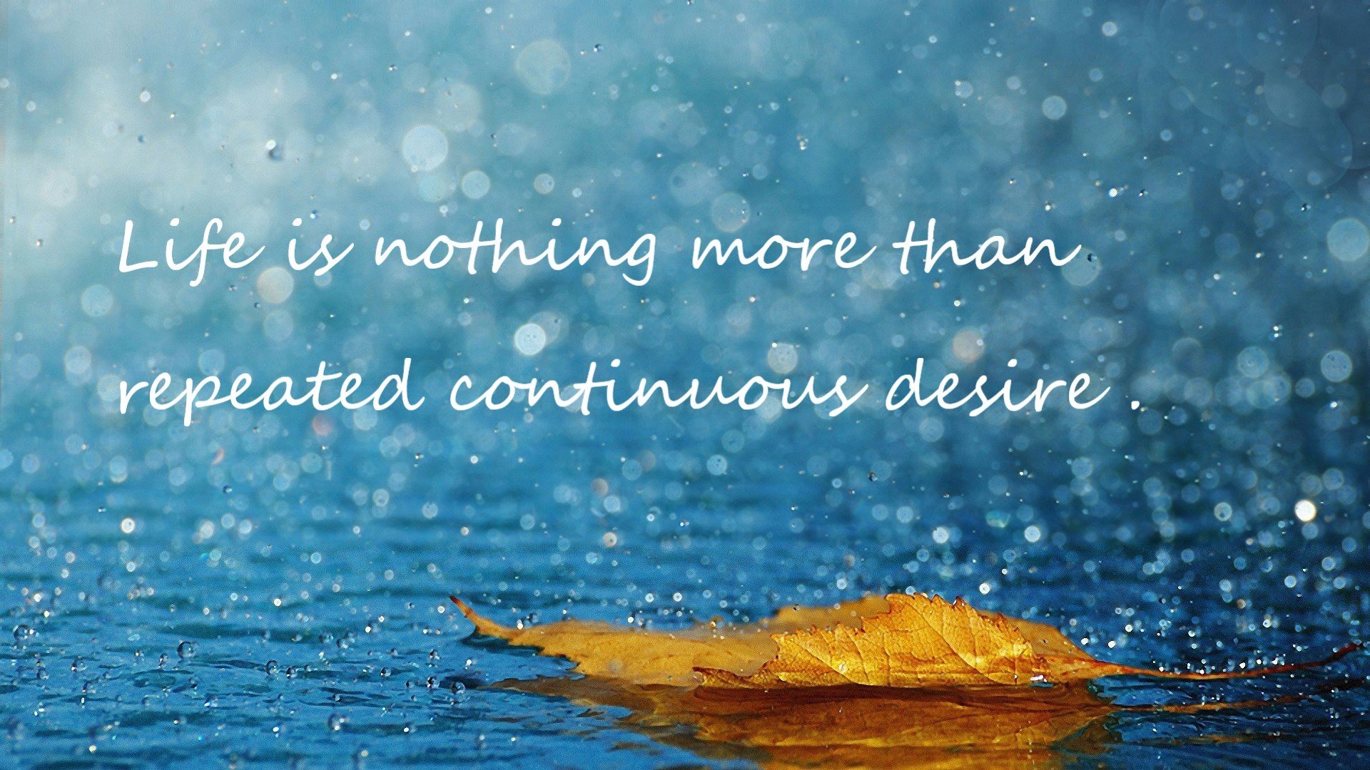 足球版图上的三原色，当意甲战术革命、毕尔巴鄂血统论与喀麦隆雄狮的怒吼交织