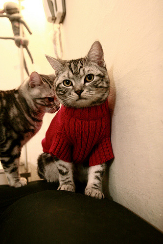 罗德里引爆全场！AC米兰4-1神奇逆转贝蒂斯，一波流终结悬念