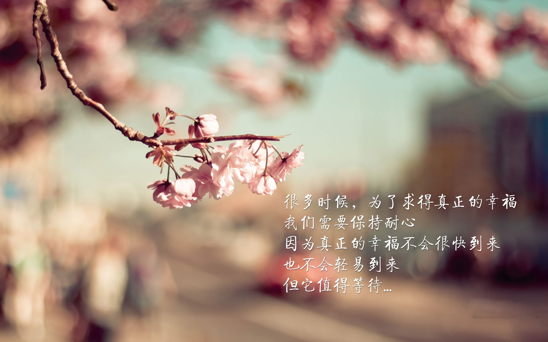 欧冠半决赛焦点战,辽宁队力克凯尔特人,争冠之路豁然开朗