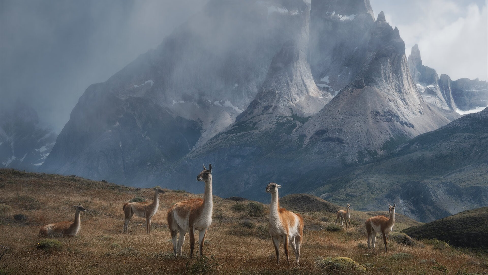 贝恩40+三双导演惊天逆转！新疆队史诗一战暴露深圳队致命短板