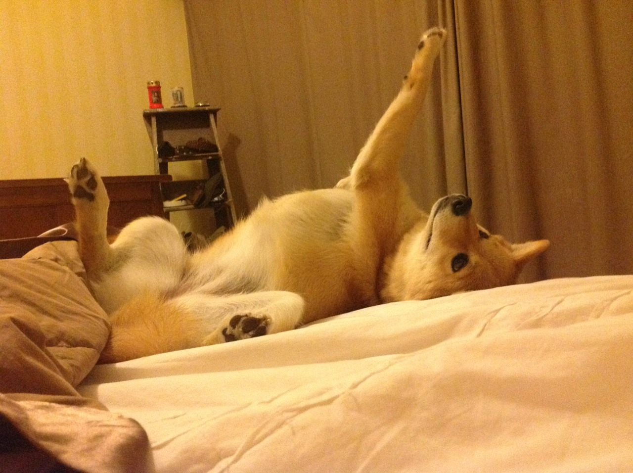 深圳队险胜北京队，德罗赞关键先生一锤定音