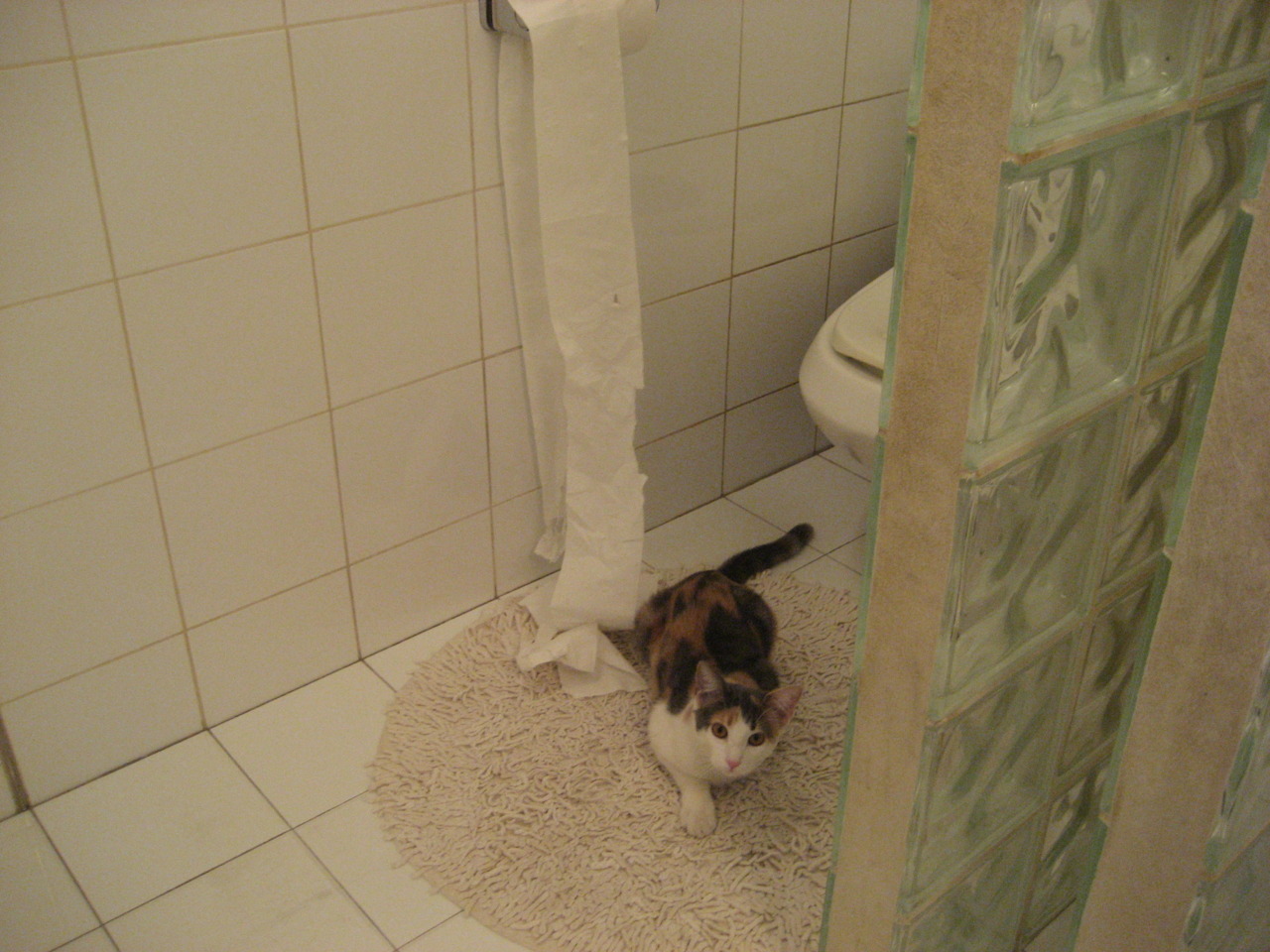 老兵不死！保罗轰42+12打服国王 绿军晋级却暴露致命隐患