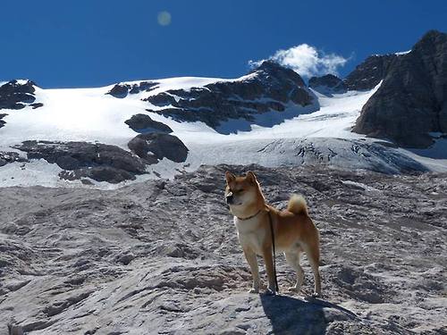 轮胎与三分线，争冠之夜看领袖如何扛起全队