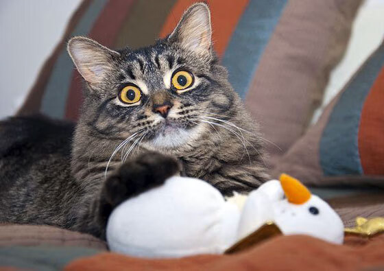 全能中场的时代宣言，从巴尔韦德到那不勒斯的战术革命