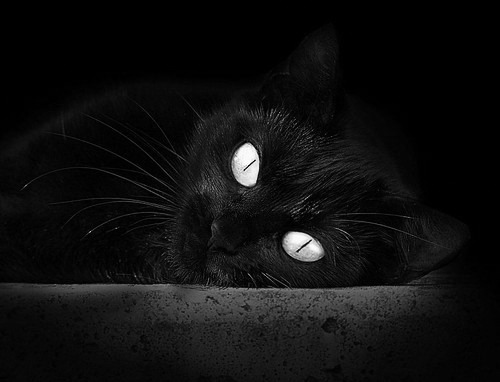 攻防枢纽定乾坤，马丁内利核心闪耀，波兰强势晋级力压智利