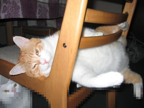 德甲争冠夜巅峰对决，佩德里高能输出闪耀全场