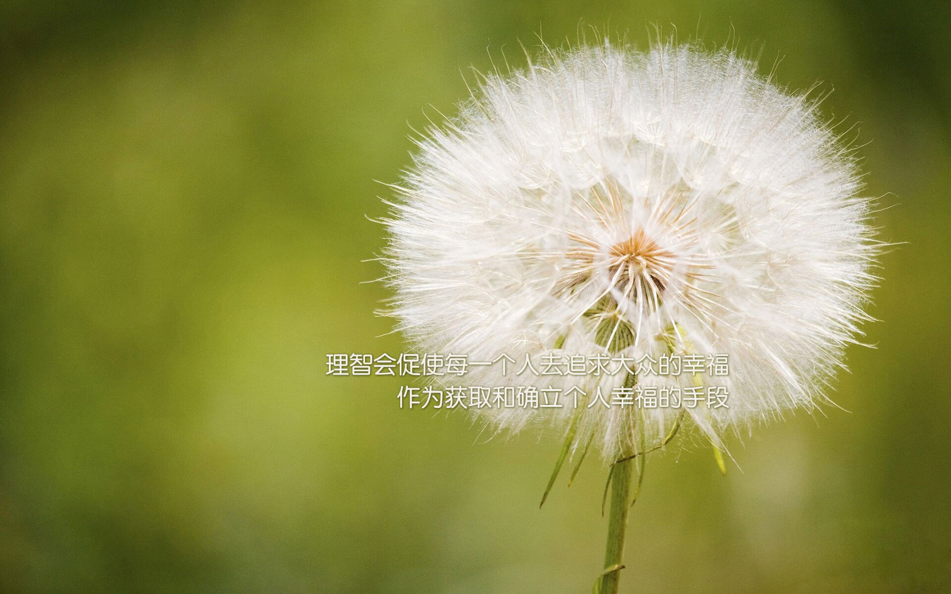 霍勒迪30分生死战爆发,凯尔特人力克上海队,守住晋级希望