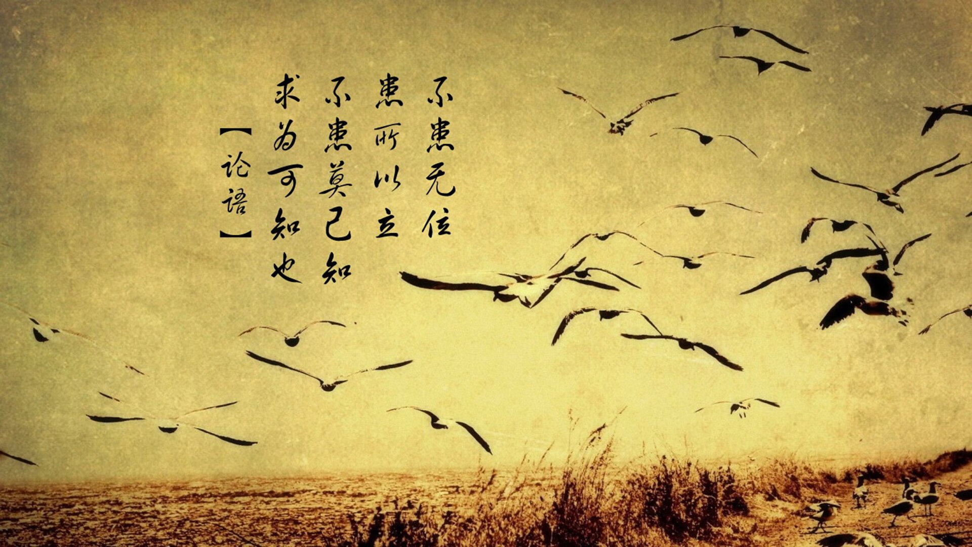 硬仗启示录,从西班牙德比到墨西哥铁血,足球王冠属于那些以意志为刃的角斗士