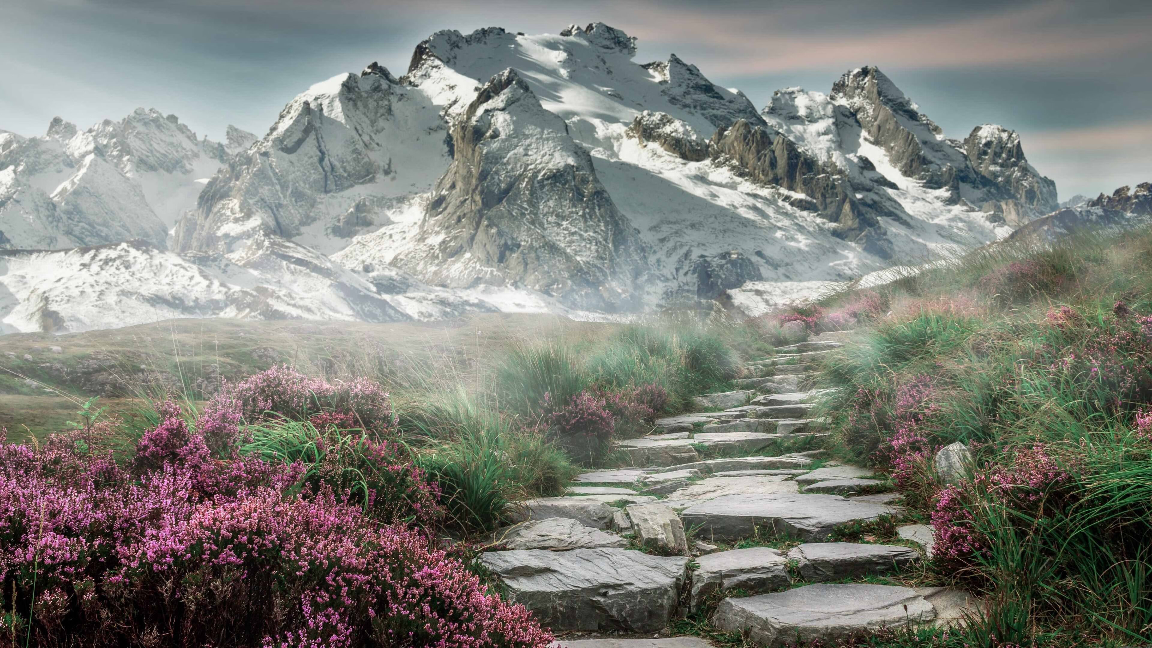 加时鏖战，绝境逢生，哈利伯顿关键9分导演绿军逆转好戏