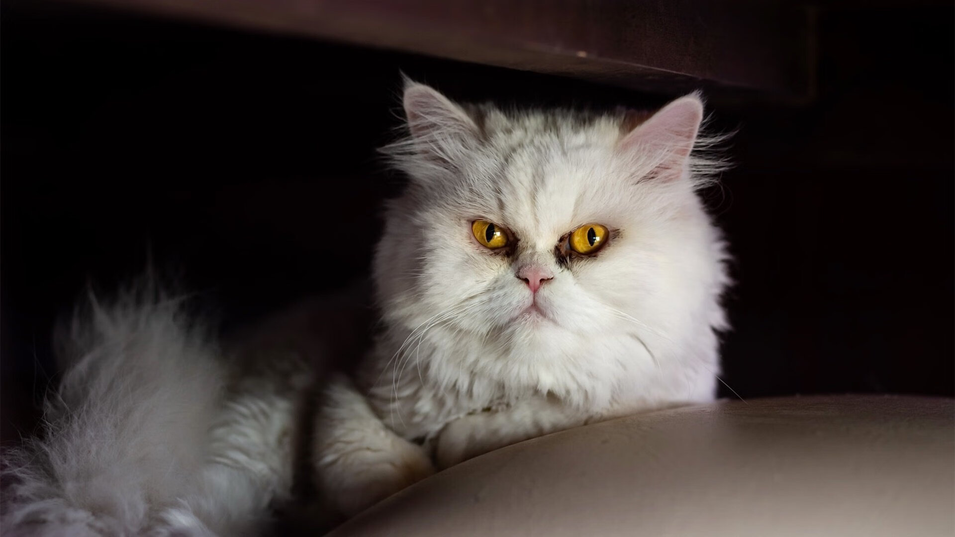 王者之怒,巴萨后程发力强势擒敌,阿圭罗替补亮剑成关键先生