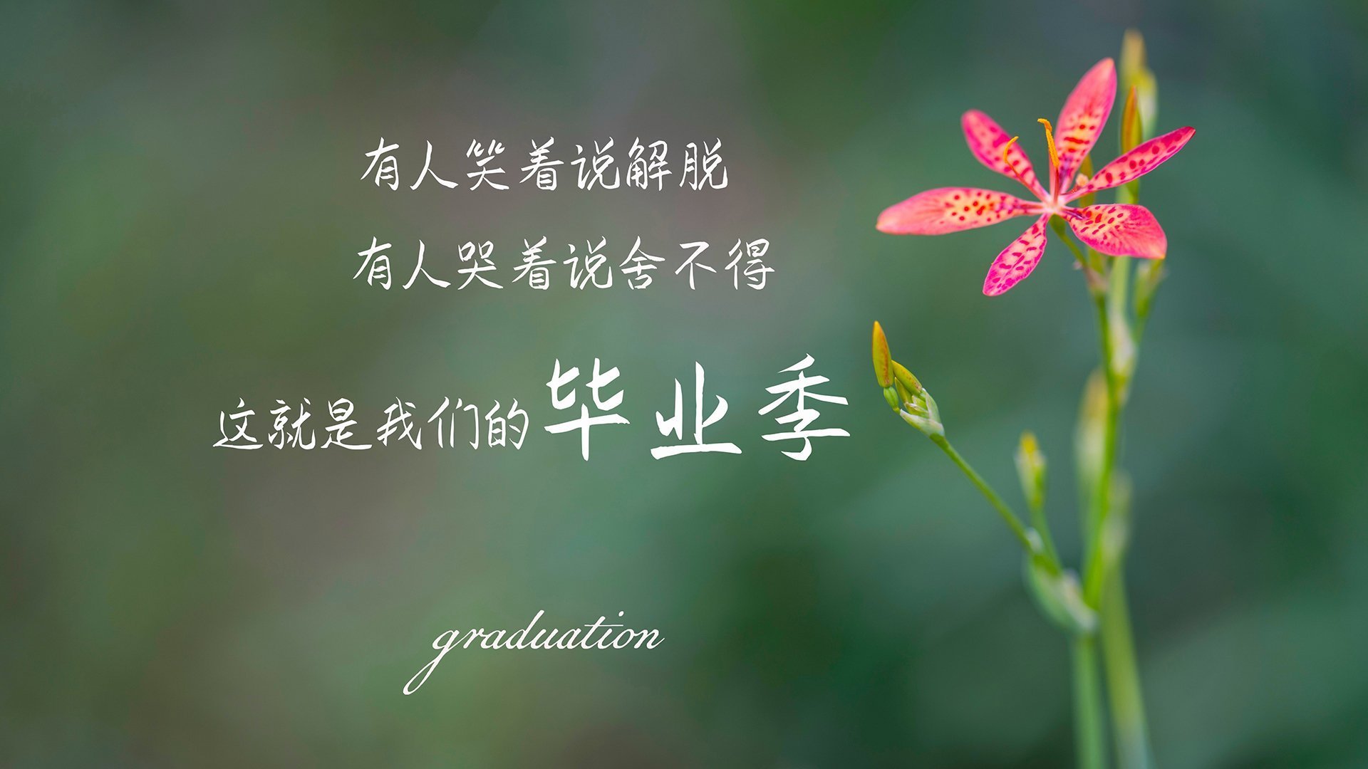 沙漠奇迹，2026世界杯A组，越南击败巴西，福登闪耀全场